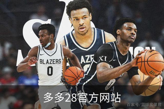 多多28官方网站公司简介
